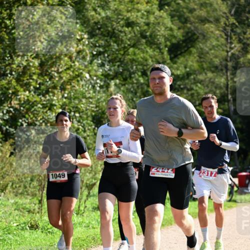 27.09.2026 - 35. Volkslauf durch das schöne Alstertal Dr. Thomas Lammeyer http://msf.ph/oto/10578908 27.09.2026 12:04:45 Laufen 1049, 2442, 2317 meine-sportfotos.de