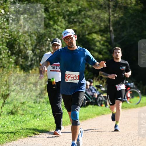 27.09.2026 - 35. Volkslauf durch das schöne Alstertal Dr. Thomas Lammeyer http://msf.ph/oto/10578924 27.09.2026 12:04:53 Laufen 1673, 2255 meine-sportfotos.de
