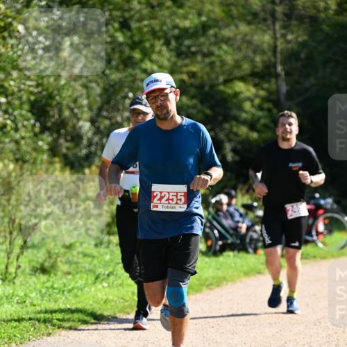 27.09.2026 - 35. Volkslauf durch das schöne Alstertal Dr. Thomas Lammeyer http://msf.ph/oto/10578925 27.09.2026 12:04:53 Laufen 2255 meine-sportfotos.de