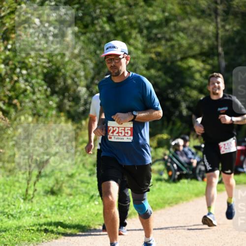 27.09.2026 - 35. Volkslauf durch das schöne Alstertal Dr. Thomas Lammeyer http://msf.ph/oto/10578926 27.09.2026 12:04:53 Laufen 2255, 240 meine-sportfotos.de