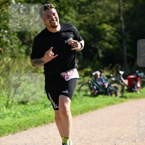 27.09.2026 - 35. Volkslauf durch das schöne Alstertal Dr. Thomas Lammeyer http://msf.ph/oto/10578933 27.09.2026 12:04:55 Laufen 240 meine-sportfotos.de