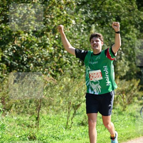 27.09.2026 - 35. Volkslauf durch das schöne Alstertal Dr. Thomas Lammeyer http://msf.ph/oto/10578949 27.09.2026 12:05:07 Laufen 2969 meine-sportfotos.de