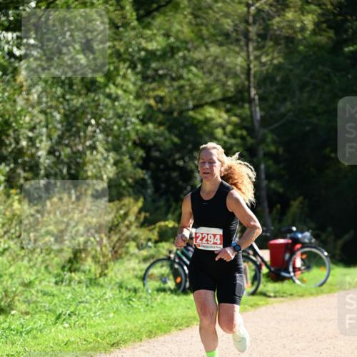 27.09.2026 - 35. Volkslauf durch das schöne Alstertal Dr. Thomas Lammeyer http://msf.ph/oto/10578962 27.09.2026 12:05:14 Laufen 2294 meine-sportfotos.de