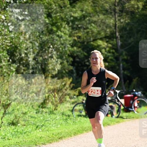 27.09.2026 - 35. Volkslauf durch das schöne Alstertal Dr. Thomas Lammeyer http://msf.ph/oto/10578963 27.09.2026 12:05:14 Laufen 2294 meine-sportfotos.de