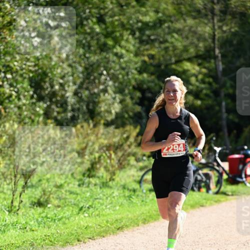 27.09.2026 - 35. Volkslauf durch das schöne Alstertal Dr. Thomas Lammeyer http://msf.ph/oto/10578964 27.09.2026 12:05:14 Laufen 2294 meine-sportfotos.de