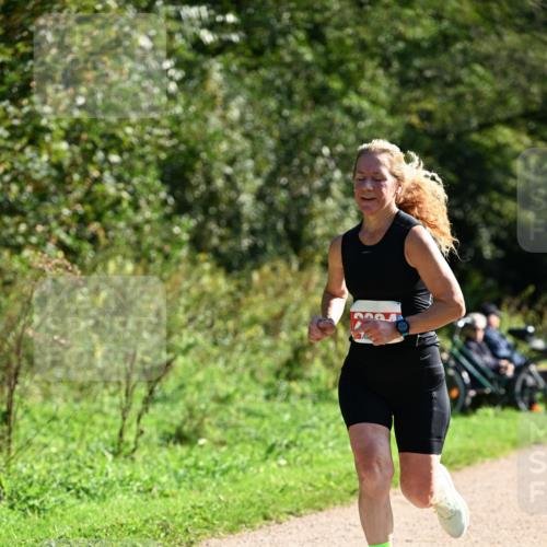 27.09.2026 - 35. Volkslauf durch das schöne Alstertal Dr. Thomas Lammeyer http://msf.ph/oto/10578968 27.09.2026 12:05:14 Laufen  meine-sportfotos.de