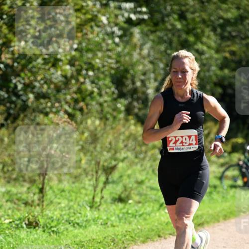 27.09.2026 - 35. Volkslauf durch das schöne Alstertal Dr. Thomas Lammeyer http://msf.ph/oto/10578971 27.09.2026 12:05:15 Laufen 2294 meine-sportfotos.de
