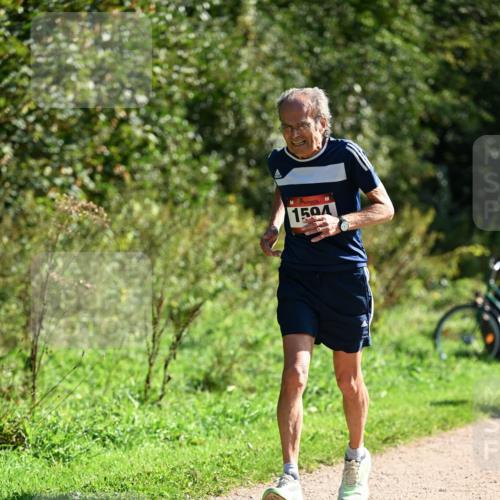 27.09.2026 - 35. Volkslauf durch das schöne Alstertal Dr. Thomas Lammeyer http://msf.ph/oto/10578999 27.09.2026 12:05:29 Laufen 1504 meine-sportfotos.de