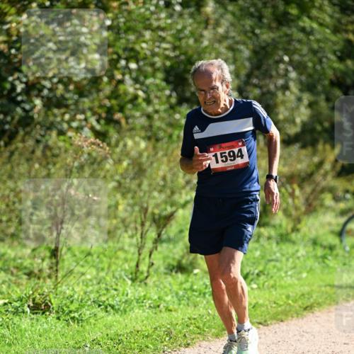 27.09.2026 - 35. Volkslauf durch das schöne Alstertal Dr. Thomas Lammeyer http://msf.ph/oto/10579001 27.09.2026 12:05:29 Laufen 1594 meine-sportfotos.de