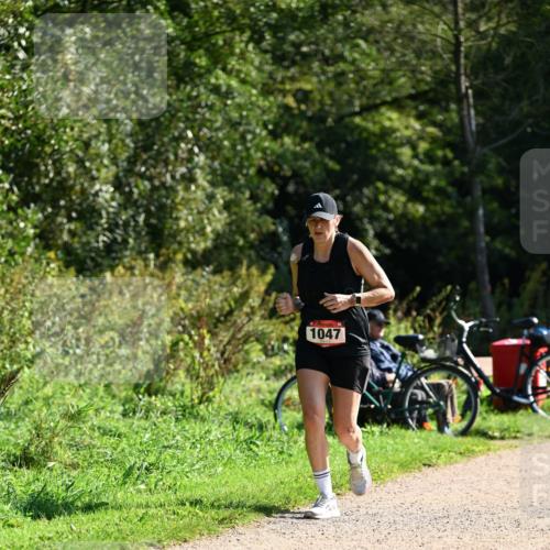27.09.2026 - 35. Volkslauf durch das schöne Alstertal Dr. Thomas Lammeyer http://msf.ph/oto/10579014 27.09.2026 12:05:34 Laufen 1047 meine-sportfotos.de