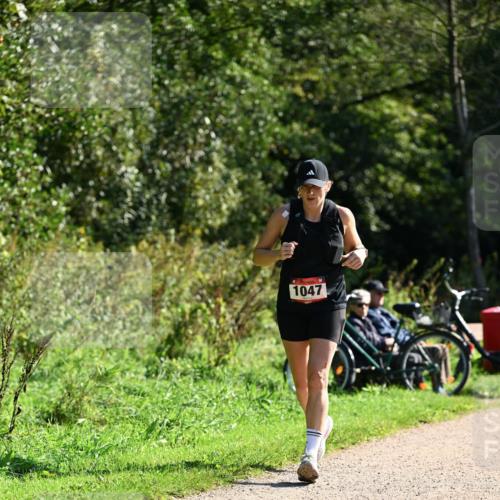 27.09.2026 - 35. Volkslauf durch das schöne Alstertal Dr. Thomas Lammeyer http://msf.ph/oto/10579017 27.09.2026 12:05:35 Laufen 1047 meine-sportfotos.de