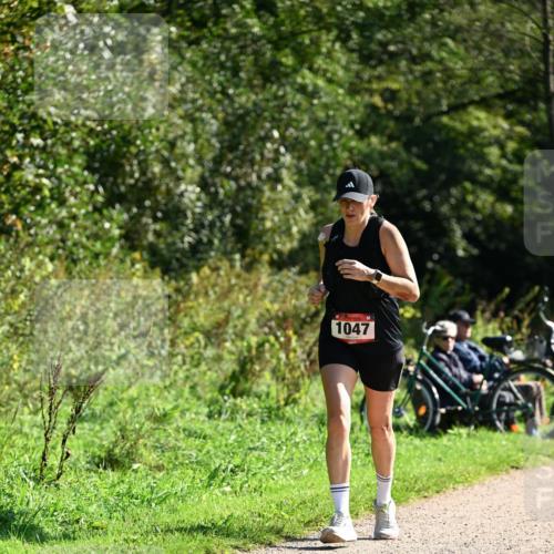 27.09.2026 - 35. Volkslauf durch das schöne Alstertal Dr. Thomas Lammeyer http://msf.ph/oto/10579020 27.09.2026 12:05:35 Laufen 1047 meine-sportfotos.de