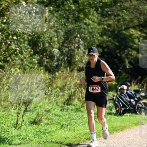 27.09.2026 - 35. Volkslauf durch das schöne Alstertal Dr. Thomas Lammeyer http://msf.ph/oto/10579022 27.09.2026 12:05:35 Laufen 1047 meine-sportfotos.de