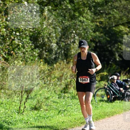 27.09.2026 - 35. Volkslauf durch das schöne Alstertal Dr. Thomas Lammeyer http://msf.ph/oto/10579023 27.09.2026 12:05:35 Laufen 1047 meine-sportfotos.de