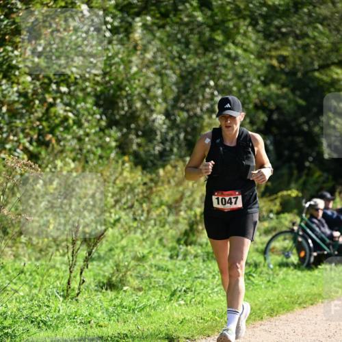 27.09.2026 - 35. Volkslauf durch das schöne Alstertal Dr. Thomas Lammeyer http://msf.ph/oto/10579024 27.09.2026 12:05:35 Laufen 1047 meine-sportfotos.de