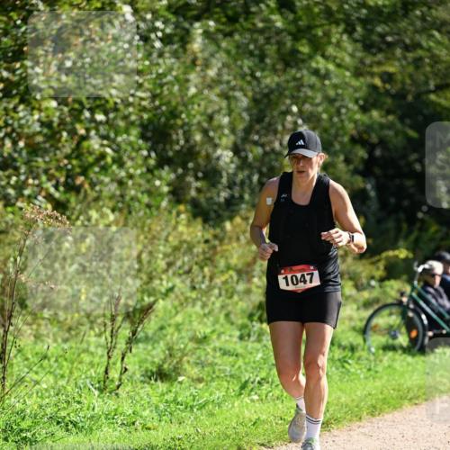 27.09.2026 - 35. Volkslauf durch das schöne Alstertal Dr. Thomas Lammeyer http://msf.ph/oto/10579026 27.09.2026 12:05:35 Laufen 1047 meine-sportfotos.de