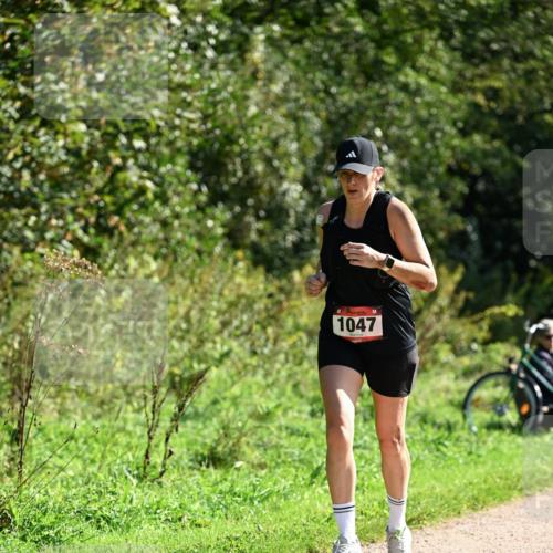 27.09.2026 - 35. Volkslauf durch das schöne Alstertal Dr. Thomas Lammeyer http://msf.ph/oto/10579027 27.09.2026 12:05:36 Laufen 1047 meine-sportfotos.de