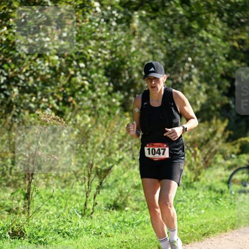 27.09.2026 - 35. Volkslauf durch das schöne Alstertal Dr. Thomas Lammeyer http://msf.ph/oto/10579029 27.09.2026 12:05:36 Laufen 1047 meine-sportfotos.de