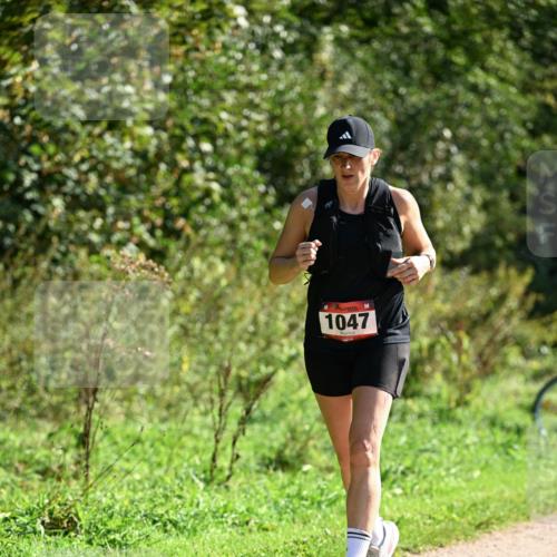 27.09.2026 - 35. Volkslauf durch das schöne Alstertal Dr. Thomas Lammeyer http://msf.ph/oto/10579031 27.09.2026 12:05:36 Laufen 1047 meine-sportfotos.de
