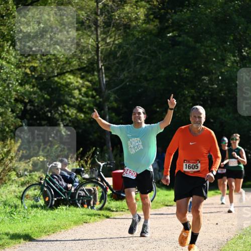 27.09.2026 - 35. Volkslauf durch das schöne Alstertal Dr. Thomas Lammeyer http://msf.ph/oto/10579058 27.09.2026 12:05:51 Laufen 2420, 2500, 1605 meine-sportfotos.de