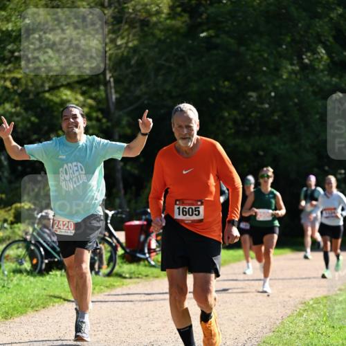 27.09.2026 - 35. Volkslauf durch das schöne Alstertal Dr. Thomas Lammeyer http://msf.ph/oto/10579066 27.09.2026 12:05:52 Laufen 2420, 1605 meine-sportfotos.de