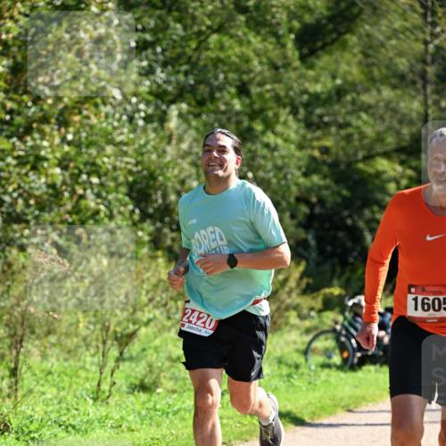 27.09.2026 - 35. Volkslauf durch das schöne Alstertal Dr. Thomas Lammeyer http://msf.ph/oto/10579070 27.09.2026 12:05:53 Laufen 2420, 1605 meine-sportfotos.de
