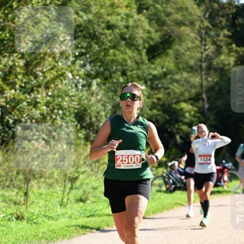 27.09.2026 - 35. Volkslauf durch das schöne Alstertal Dr. Thomas Lammeyer http://msf.ph/oto/10579086 27.09.2026 12:05:57 Laufen 2500, 1124 meine-sportfotos.de