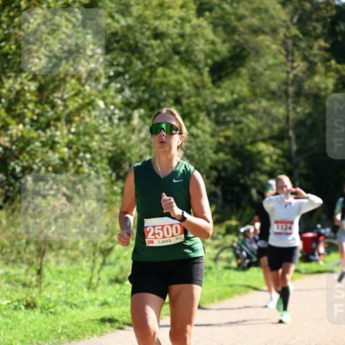 27.09.2026 - 35. Volkslauf durch das schöne Alstertal Dr. Thomas Lammeyer http://msf.ph/oto/10579088 27.09.2026 12:05:57 Laufen 2500 meine-sportfotos.de