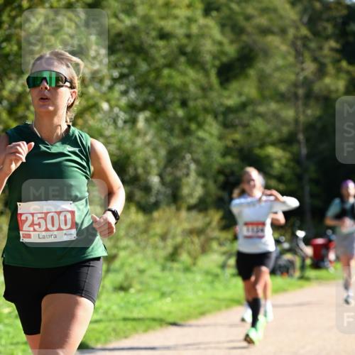 27.09.2026 - 35. Volkslauf durch das schöne Alstertal Dr. Thomas Lammeyer http://msf.ph/oto/10579093 27.09.2026 12:05:57 Laufen 2500 meine-sportfotos.de