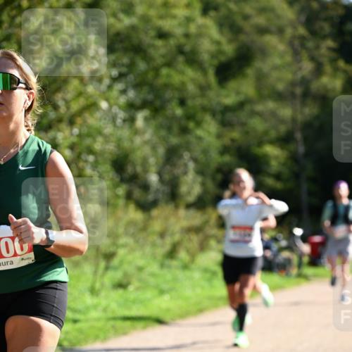 27.09.2026 - 35. Volkslauf durch das schöne Alstertal Dr. Thomas Lammeyer http://msf.ph/oto/10579095 27.09.2026 12:05:57 Laufen 06 meine-sportfotos.de