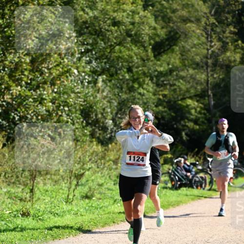 27.09.2026 - 35. Volkslauf durch das schöne Alstertal Dr. Thomas Lammeyer http://msf.ph/oto/10579097 27.09.2026 12:05:58 Laufen 1124 meine-sportfotos.de