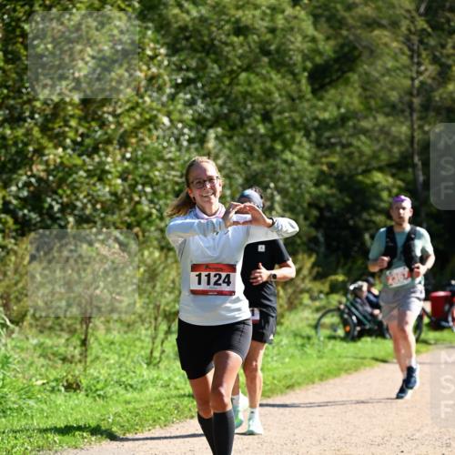 27.09.2026 - 35. Volkslauf durch das schöne Alstertal Dr. Thomas Lammeyer http://msf.ph/oto/10579102 27.09.2026 12:05:59 Laufen 1124 meine-sportfotos.de
