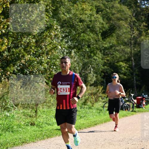 27.09.2026 - 35. Volkslauf durch das schöne Alstertal Dr. Thomas Lammeyer http://msf.ph/oto/10579123 27.09.2026 12:06:03 Laufen 2431 meine-sportfotos.de