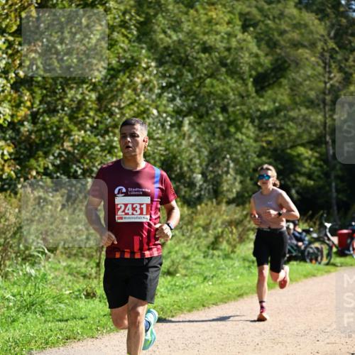 27.09.2026 - 35. Volkslauf durch das schöne Alstertal Dr. Thomas Lammeyer http://msf.ph/oto/10579126 27.09.2026 12:06:03 Laufen 2431 meine-sportfotos.de