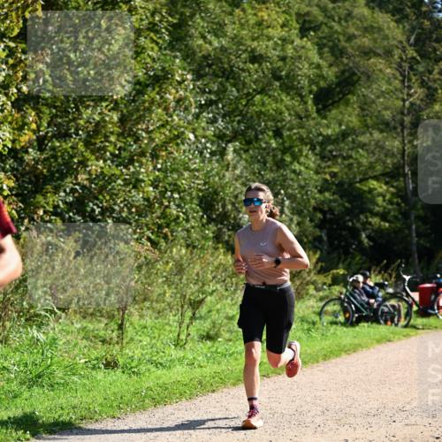 27.09.2026 - 35. Volkslauf durch das schöne Alstertal Dr. Thomas Lammeyer http://msf.ph/oto/10579127 27.09.2026 12:06:04 Laufen  meine-sportfotos.de