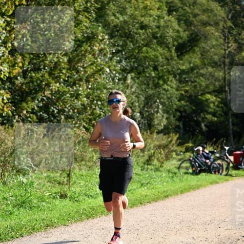 27.09.2026 - 35. Volkslauf durch das schöne Alstertal Dr. Thomas Lammeyer http://msf.ph/oto/10579131 27.09.2026 12:06:04 Laufen  meine-sportfotos.de