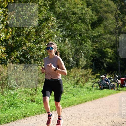 27.09.2026 - 35. Volkslauf durch das schöne Alstertal Dr. Thomas Lammeyer http://msf.ph/oto/10579132 27.09.2026 12:06:04 Laufen  meine-sportfotos.de