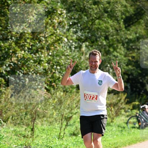 27.09.2026 - 35. Volkslauf durch das schöne Alstertal Dr. Thomas Lammeyer http://msf.ph/oto/10579168 27.09.2026 12:06:25 Laufen 2072 meine-sportfotos.de