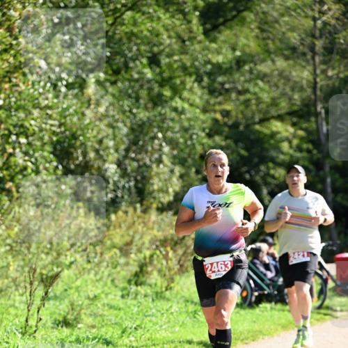 27.09.2026 - 35. Volkslauf durch das schöne Alstertal Dr. Thomas Lammeyer http://msf.ph/oto/10579192 27.09.2026 12:06:40 Laufen 2463 meine-sportfotos.de