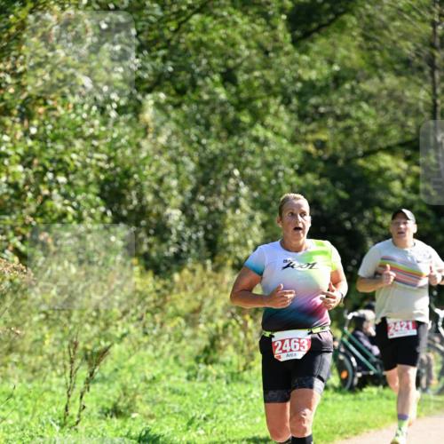 27.09.2026 - 35. Volkslauf durch das schöne Alstertal Dr. Thomas Lammeyer http://msf.ph/oto/10579194 27.09.2026 12:06:40 Laufen 700, 2463 meine-sportfotos.de