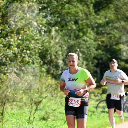 27.09.2026 - 35. Volkslauf durch das schöne Alstertal Dr. Thomas Lammeyer http://msf.ph/oto/10579198 27.09.2026 12:06:41 Laufen 2463 meine-sportfotos.de