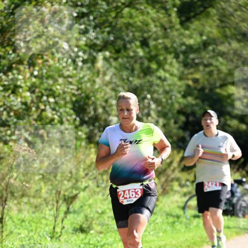 27.09.2026 - 35. Volkslauf durch das schöne Alstertal Dr. Thomas Lammeyer http://msf.ph/oto/10579199 27.09.2026 12:06:41 Laufen 2463 meine-sportfotos.de