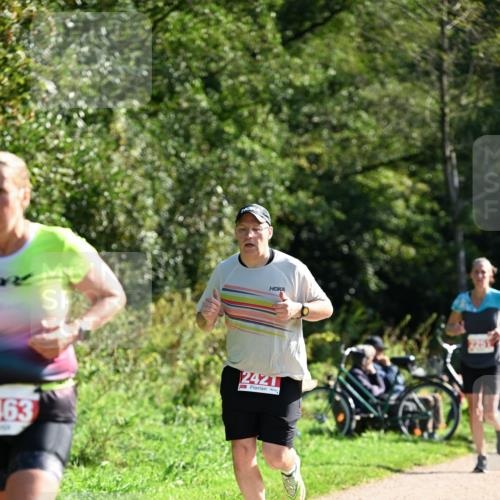 27.09.2026 - 35. Volkslauf durch das schöne Alstertal Dr. Thomas Lammeyer http://msf.ph/oto/10579200 27.09.2026 12:06:42 Laufen 163, 2421 meine-sportfotos.de