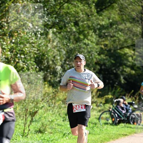 27.09.2026 - 35. Volkslauf durch das schöne Alstertal Dr. Thomas Lammeyer http://msf.ph/oto/10579203 27.09.2026 12:06:42 Laufen 2421 meine-sportfotos.de