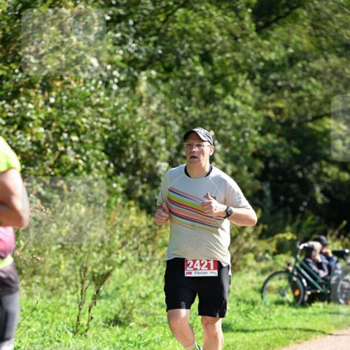 27.09.2026 - 35. Volkslauf durch das schöne Alstertal Dr. Thomas Lammeyer http://msf.ph/oto/10579204 27.09.2026 12:06:42 Laufen 2421 meine-sportfotos.de