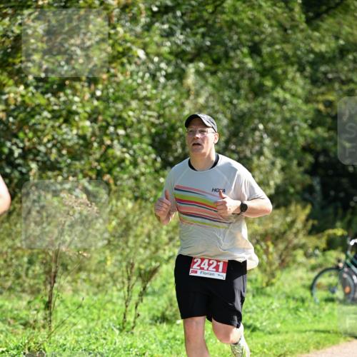 27.09.2026 - 35. Volkslauf durch das schöne Alstertal Dr. Thomas Lammeyer http://msf.ph/oto/10579207 27.09.2026 12:06:42 Laufen 2421 meine-sportfotos.de