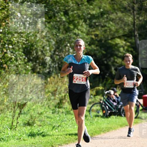 27.09.2026 - 35. Volkslauf durch das schöne Alstertal Dr. Thomas Lammeyer http://msf.ph/oto/10579209 27.09.2026 12:06:44 Laufen 2251, 2490 meine-sportfotos.de