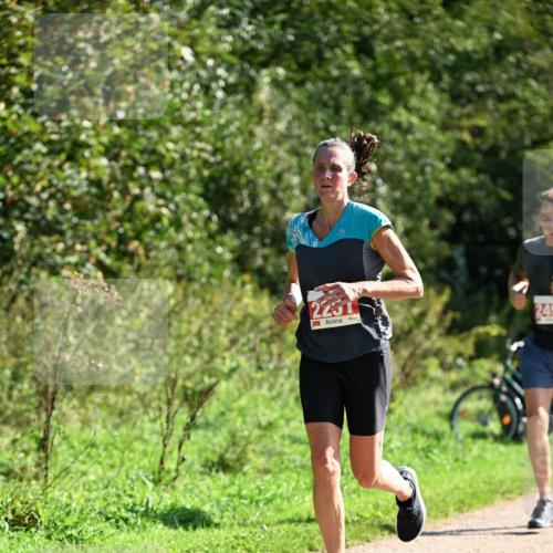 27.09.2026 - 35. Volkslauf durch das schöne Alstertal Dr. Thomas Lammeyer http://msf.ph/oto/10579214 27.09.2026 12:06:45 Laufen 2251, 249 meine-sportfotos.de