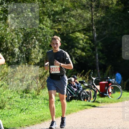 27.09.2026 - 35. Volkslauf durch das schöne Alstertal Dr. Thomas Lammeyer http://msf.ph/oto/10579215 27.09.2026 12:06:46 Laufen 2490 meine-sportfotos.de