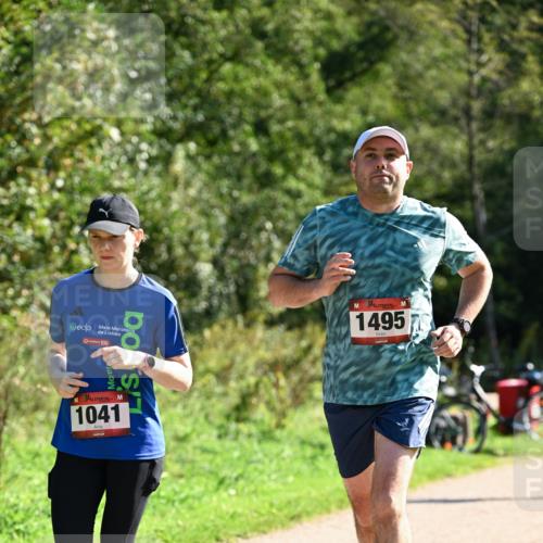 27.09.2026 - 35. Volkslauf durch das schöne Alstertal Dr. Thomas Lammeyer http://msf.ph/oto/10579285 27.09.2026 12:07:18 Laufen 10, 1041, 1495 meine-sportfotos.de